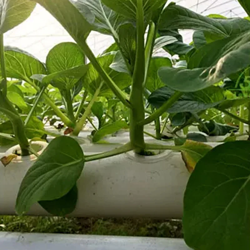 Hydroponic Kit - Zestaw do uprawy bezglebowej, hydroponiczny ogród