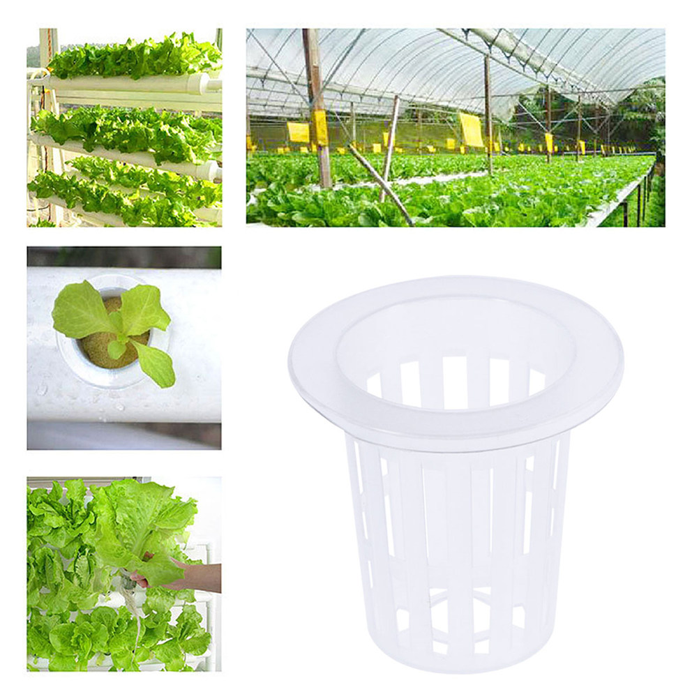 10 sztuk – siatkowe doniczki d – Plant Pot recenzja i cena