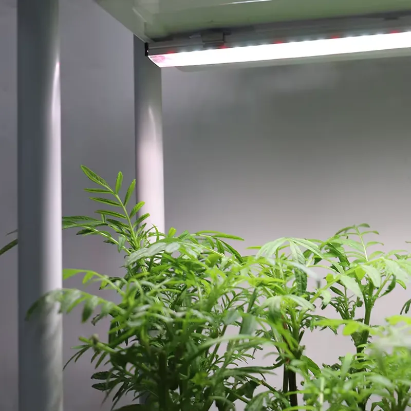 Przenośny, pionowy, 3-poziomow – Self Watering Planter recenzja i cena