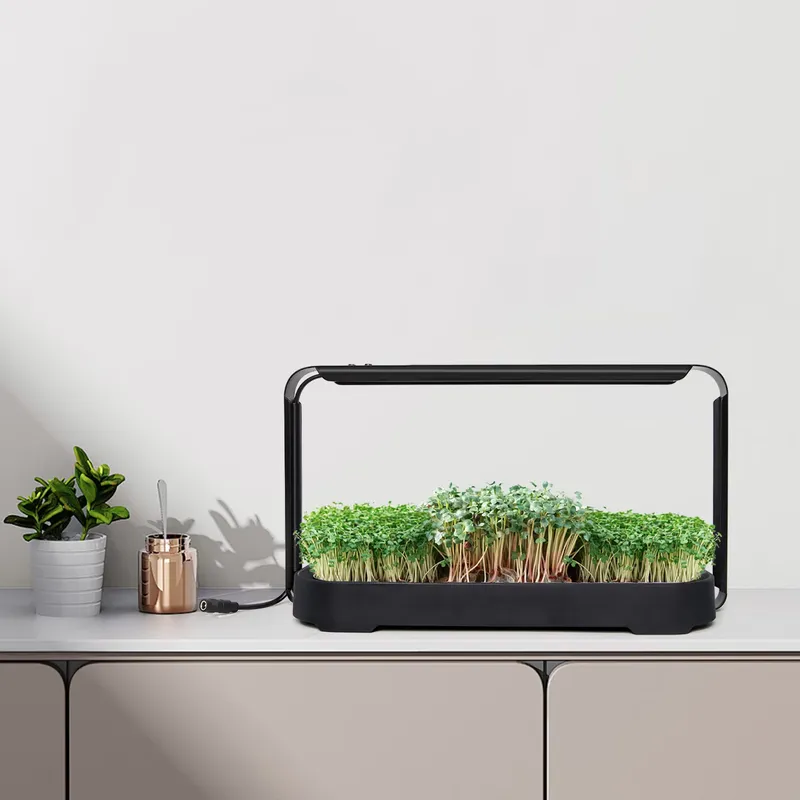 System hydroponiczny do samodz – Hydroponic Kit recenzja i cena
