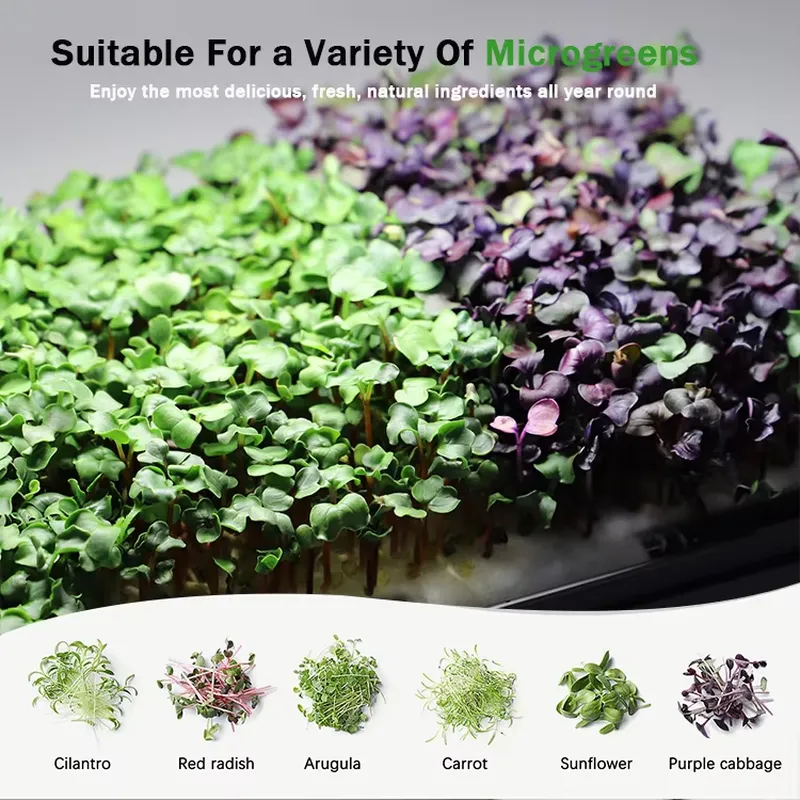 System hydroponiczny do samodz – Hydroponic Kit recenzja i cena