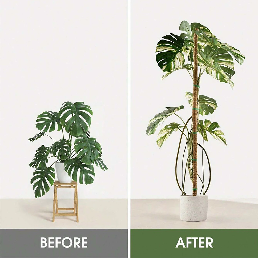 Podpórki do roślin Monstera, s – Indoor Herb Garden recenzja i cena