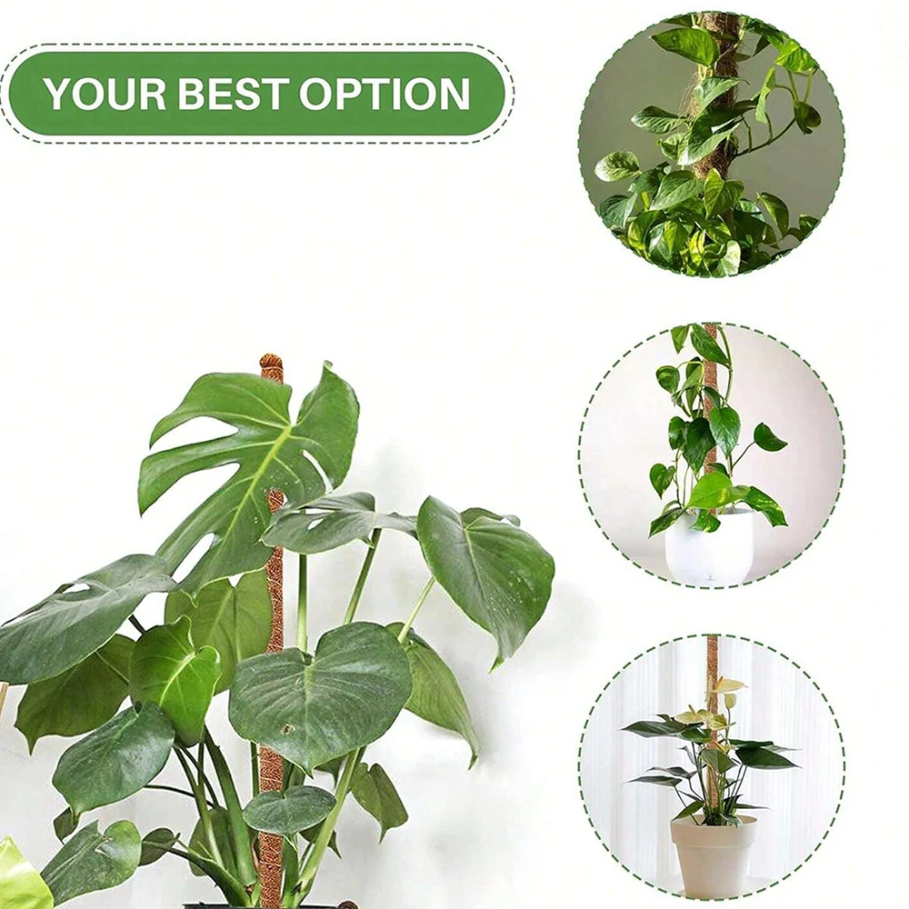 Podpórki do roślin Monstera, s – Indoor Herb Garden recenzja i cena