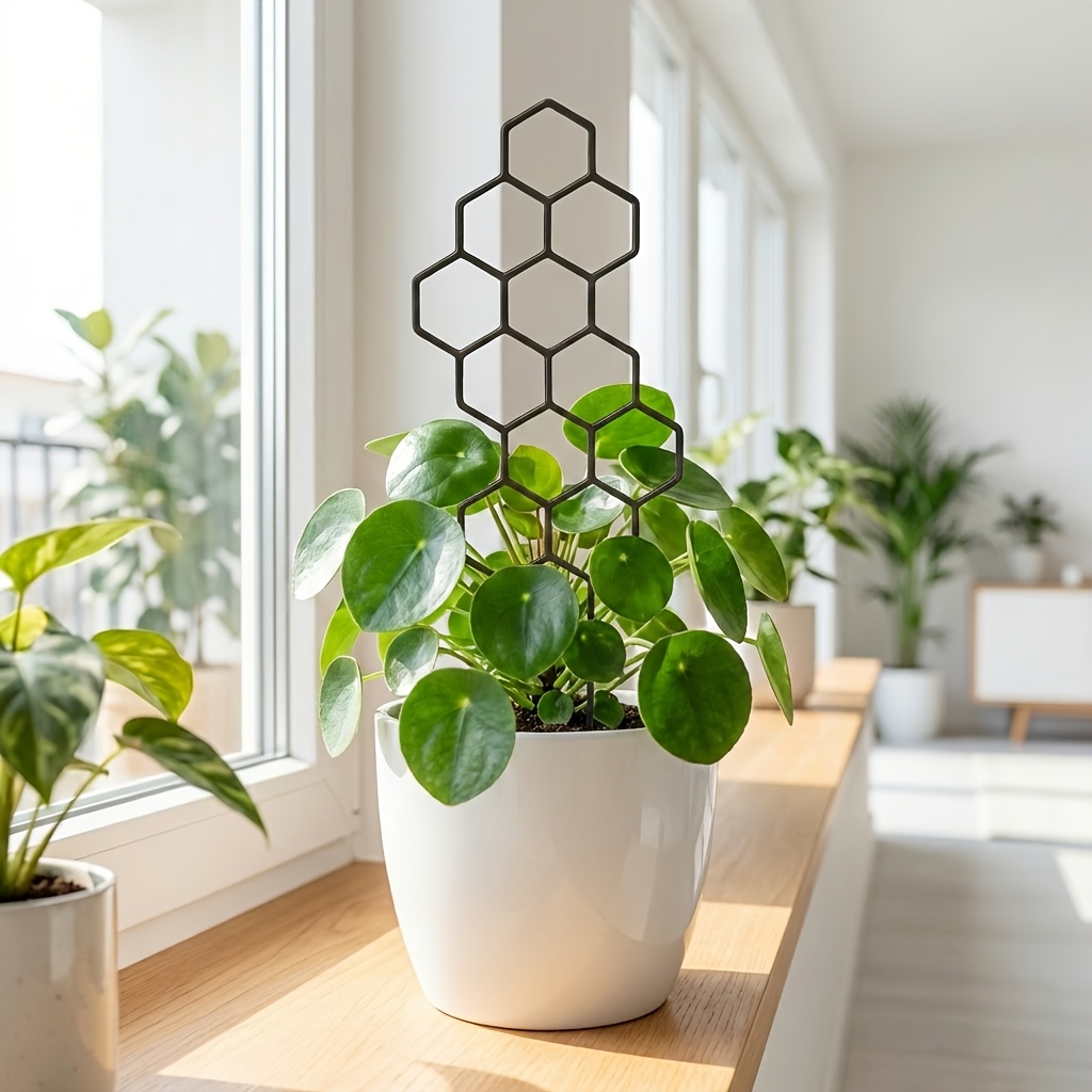 1/2 szt. Kratka do roślin doni – Indoor Herb Garden recenzja i cena
