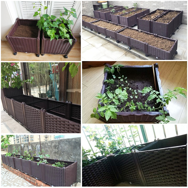 Podwyższona lejek do ogrodu z  – Self Watering Planter recenzja i cena