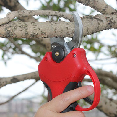 Wysokiej jakości nożyce ogrodo – Pruning Shears recenzja i cena