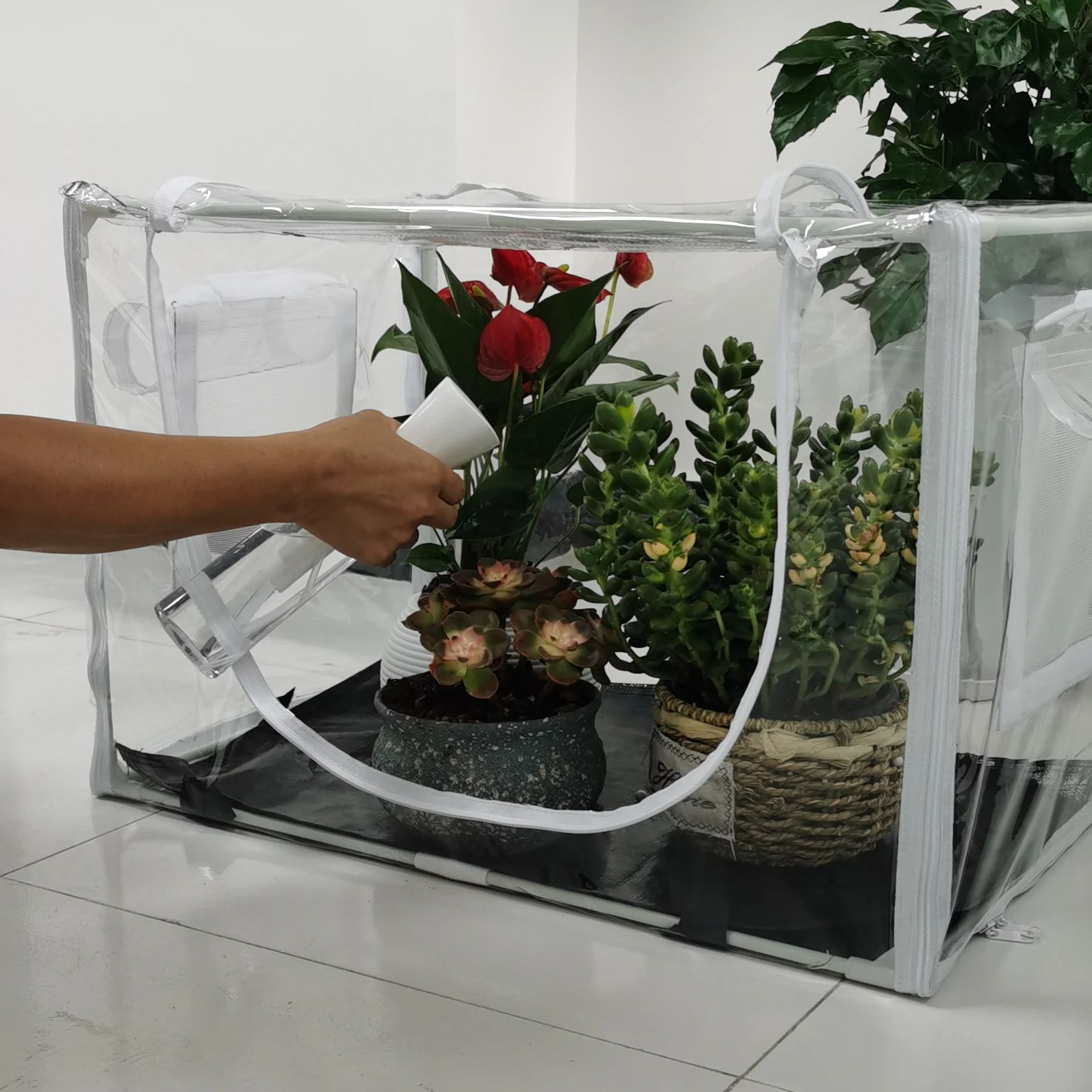 Kompaktowa szklarnia do użytku – Grow Bag recenzja i cena