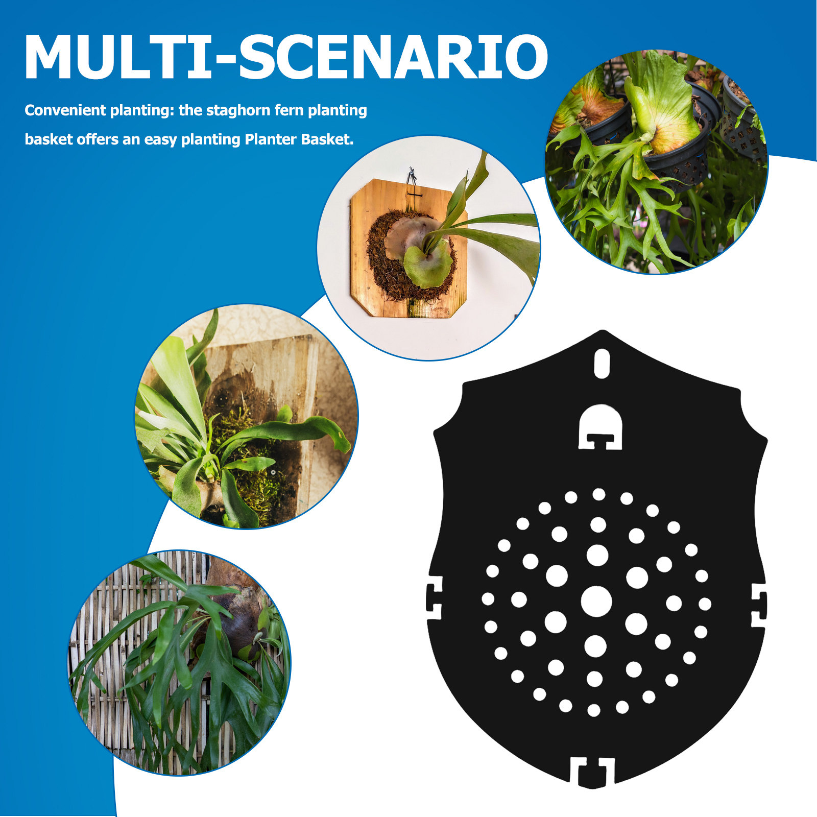 Płytka montażowa z matowego cz – Vertical Planter recenzja i cena