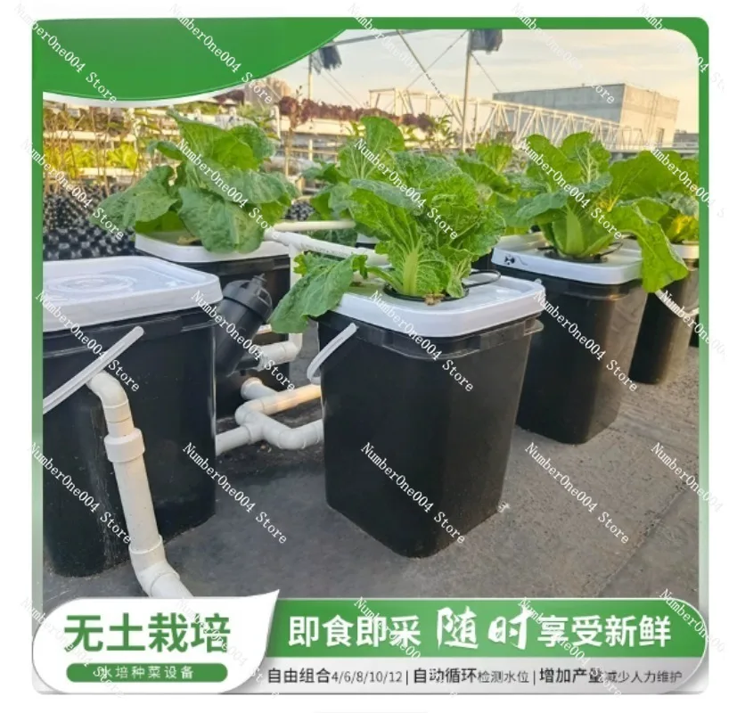 Zestaw do hydroponicznego upra – Hydroponic Kit recenzja i cena