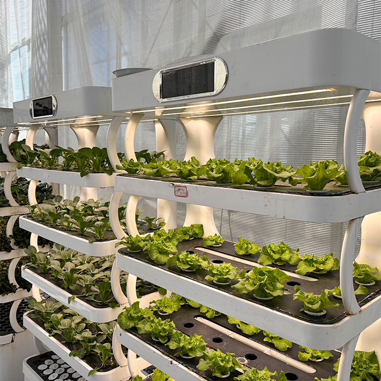 Inteligentny system do uprawy  – Grow Light Led recenzja i cena